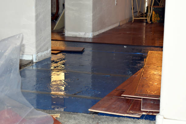 Professional Burst Pipe Cleanup technician working in Lenzburg, IL